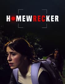 Homewrecker