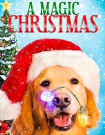 A Magic Christmas