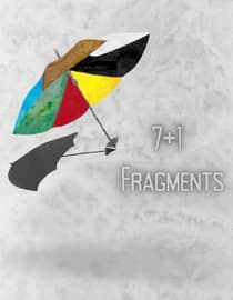 71 Fragmente