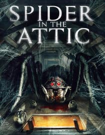 Spider in the Attic