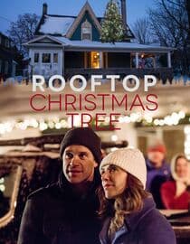 Rooftop Christmas Tree