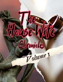 The Housewife Chronicles: Volume 1