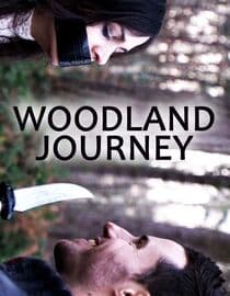Woodland Journey