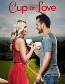 Cup Of Love