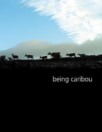 Being Caribou