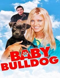Baby Bulldog