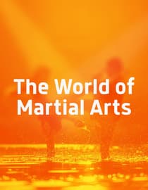 The World of Martial Arts