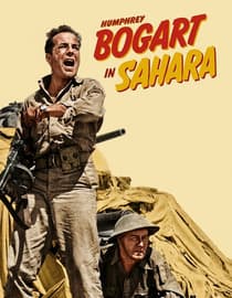 Sahara