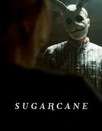 Sugarcane