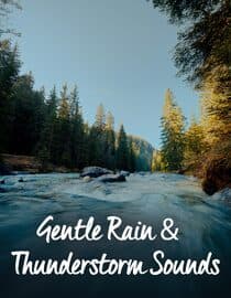 Gentle Rain & Thunderstorm Sounds for Sleeping: Cozy View for Sleep, Relax & Stress Relief