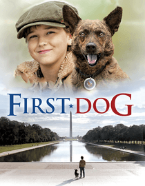 First Dog