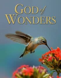 God Of Wonders