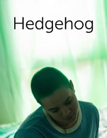 Hedgehog