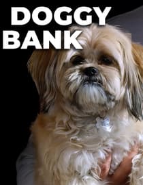 Doggy Bank