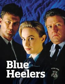 Blue Heelers