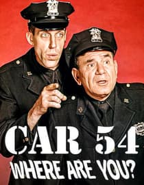 Car 54, Where Are You?