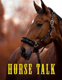 Horse Talk