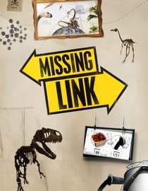 Missing Link