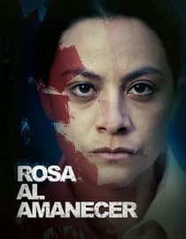 Rosa al amanecer