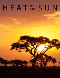 Heat of the Sun