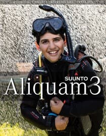 Aliquam 3