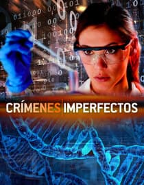 Crímenes Imperfectos