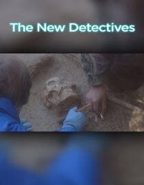 The New Detectives (LAS)